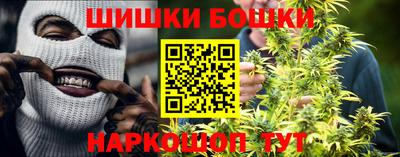 spice Кингисепп