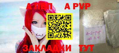 spice Кингисепп
