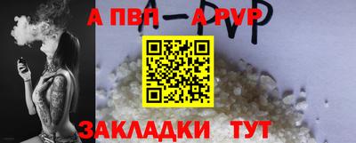 spice Кингисепп
