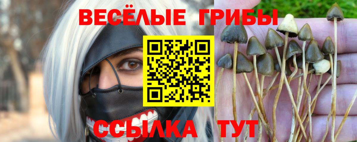 Галлюциногенные грибы мухоморы  Вход с VPN  Улан-Удэ 